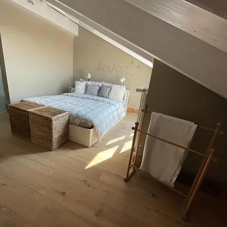 Charming Penthouse In Turim