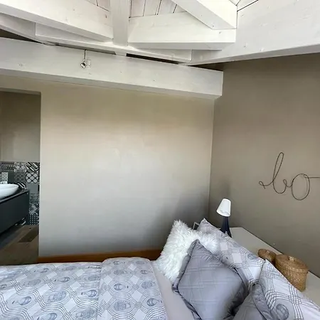 Charming Penthouse In Torino