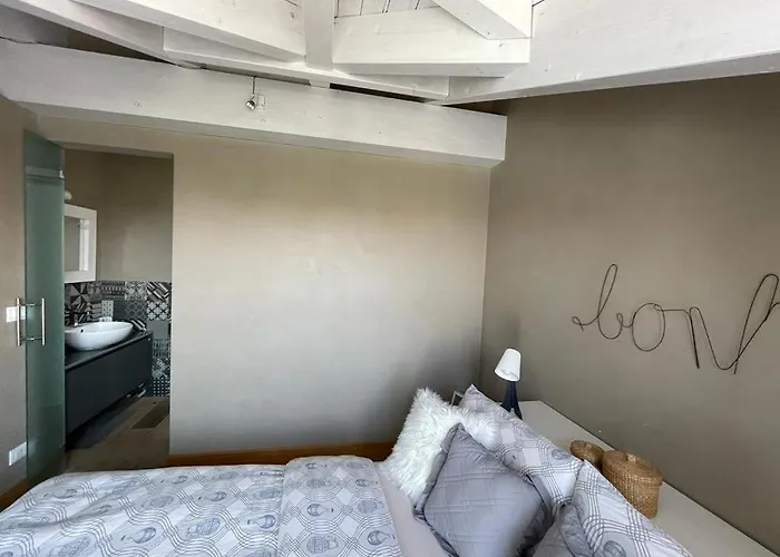 Charming Penthouse In Turin