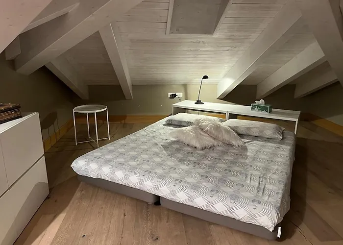 Charming Penthouse In Turín