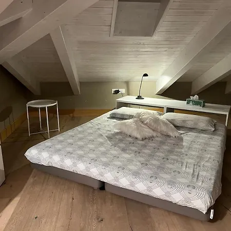 Charming Penthouse In تورينو