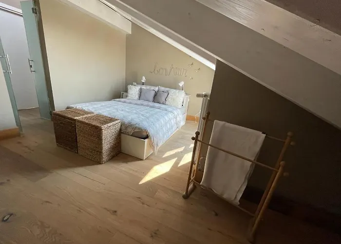 Charming Penthouse In トリノ